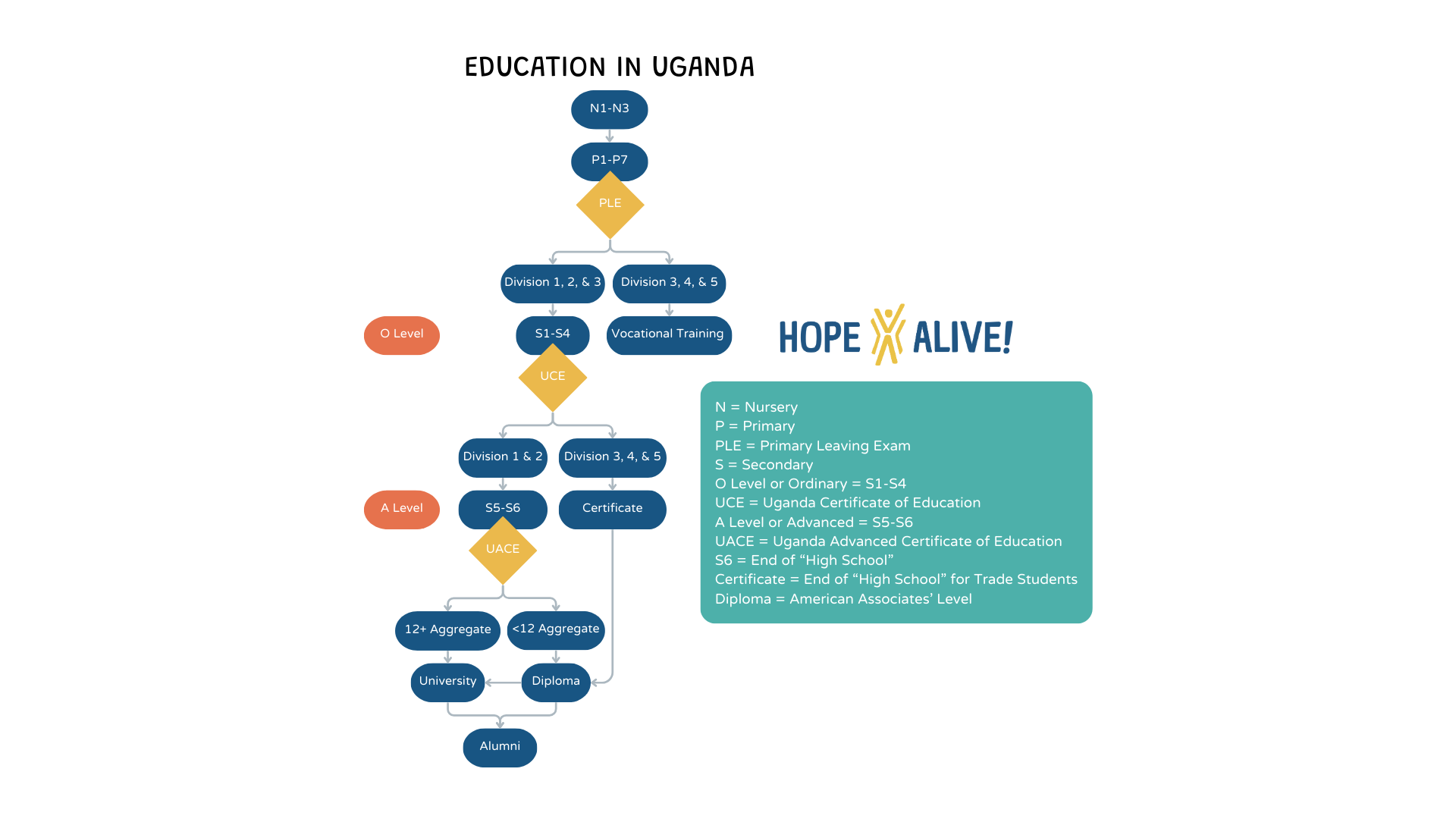 Flow chart of Ugandan education system 